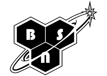 BSN-logo